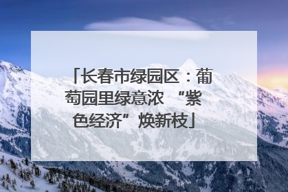 长春市绿园区：葡萄园里绿意浓 “紫色经济”焕新枝