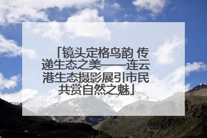 镜头定格鸟韵 传递生态之美——连云港生态摄影展引市民共赏自然之魅