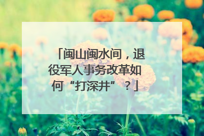 闽山闽水间，退役军人事务改革如何“打深井”？