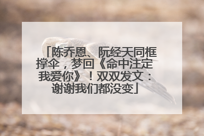 陈乔恩、阮经天同框撑伞，梦回《命中注定我爱你》！双双发文：谢谢我们都没变