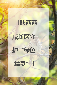 陕西西咸新区守护“绿色精灵”