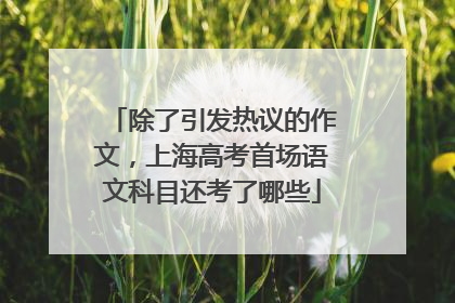 除了引发热议的作文，上海高考首场语文科目还考了哪些