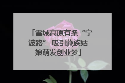 雪域高原有条“宁波路” 吸引藏族姑娘萌发创业梦