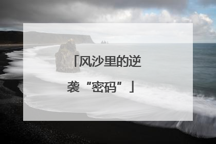 风沙里的逆袭“密码”