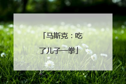 马斯克：吃了儿子一拳