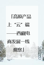 高原产品上“云”端——西藏电商发展一线观察