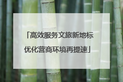 高效服务文旅新地标 优化营商环境再提速