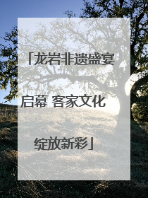 龙岩非遗盛宴启幕 客家文化绽放新彩