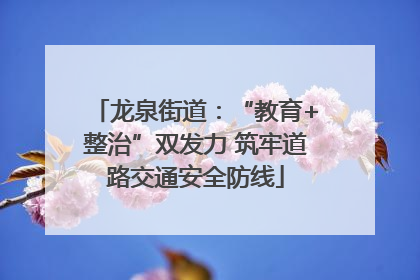 龙泉街道：“教育+整治”双发力 筑牢道路交通安全防线