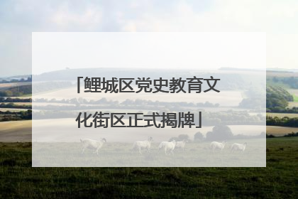 鲤城区党史教育文化街区正式揭牌