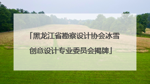 黑龙江省勘察设计协会冰雪创意设计专业委员会揭牌
