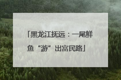 黑龙江抚远：一尾鲜鱼“游”出富民路