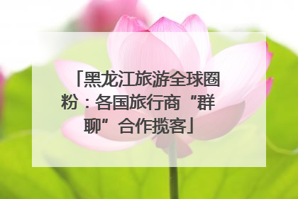 黑龙江旅游全球圈粉：各国旅行商“群聊”合作揽客