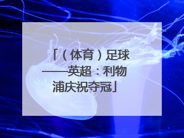 （体育）足球——英超：利物浦庆祝夺冠