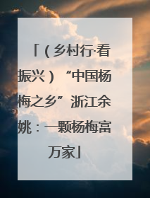 （乡村行·看振兴）“中国杨梅之乡”浙江余姚：一颗杨梅富万家