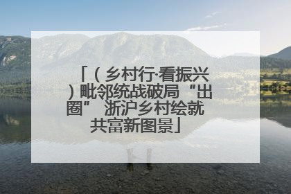（乡村行·看振兴）毗邻统战破局“出圈” 浙沪乡村绘就共富新图景