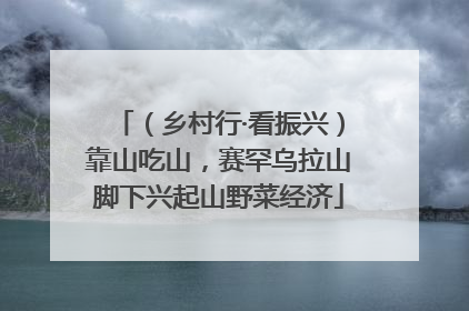 （乡村行·看振兴）靠山吃山，赛罕乌拉山脚下兴起山野菜经济