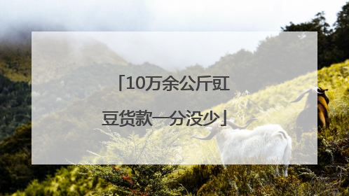 10万余公斤豇豆货款一分没少
