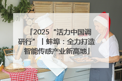 2025“活力中国调研行”丨蚌埠：全力打造智能传感产业新高地