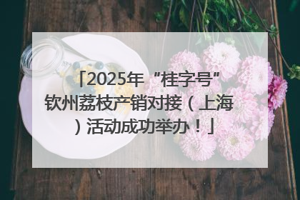 2025年“桂字号”钦州荔枝产销对接（上海）活动成功举办！