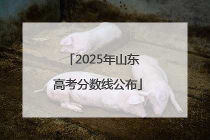 2025年山东高考分数线公布