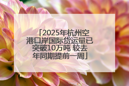 2025年杭州空港口岸国际货运量已突破10万吨 较去年同期提前一周