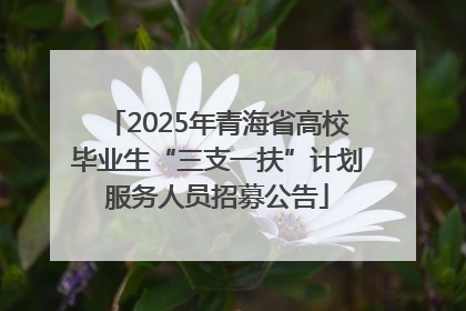 2025年青海省高校毕业生“三支一扶”计划服务人员招募公告