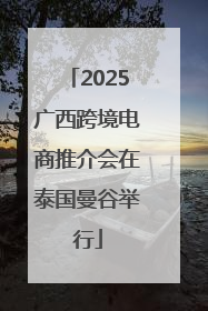 2025广西跨境电商推介会在泰国曼谷举行