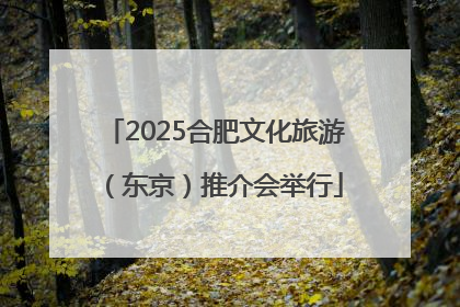2025合肥文化旅游（东京）推介会举行