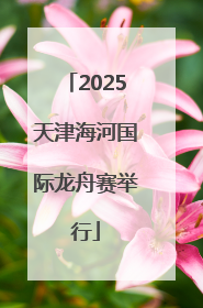 2025天津海河国际龙舟赛举行