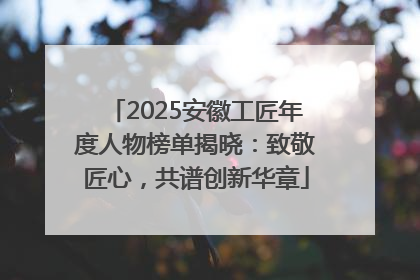 2025安徽工匠年度人物榜单揭晓：致敬匠心，共谱创新华章
