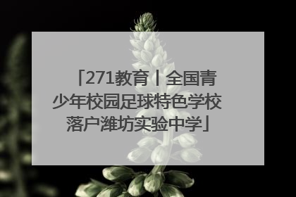 271教育丨全国青少年校园足球特色学校落户潍坊实验中学