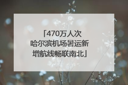 470万人次 哈尔滨机场暑运新增航线畅联南北