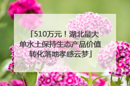 510万元！湖北最大单水土保持生态产品价值转化落地孝感云梦