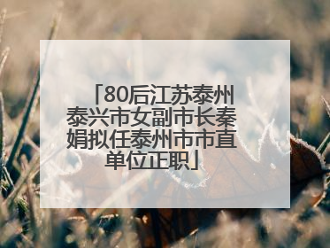 80后江苏泰州泰兴市女副市长秦娟拟任泰州市市直单位正职