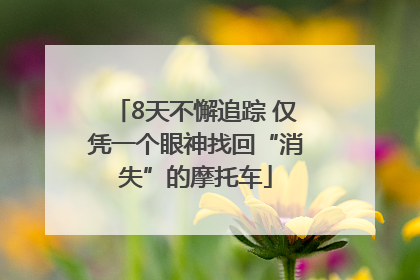 8天不懈追踪 仅凭一个眼神找回“消失”的摩托车