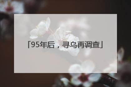 95年后，寻乌再调查