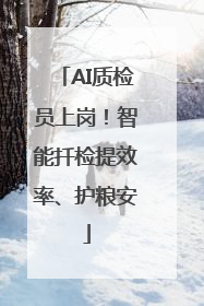 AI质检员上岗！智能扦检提效率、护粮安