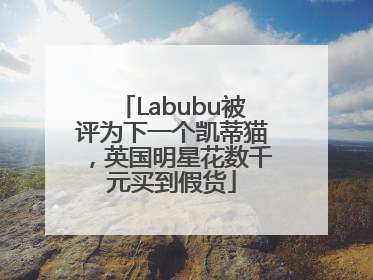 Labubu被评为下一个凯蒂猫，英国明星花数千元买到假货